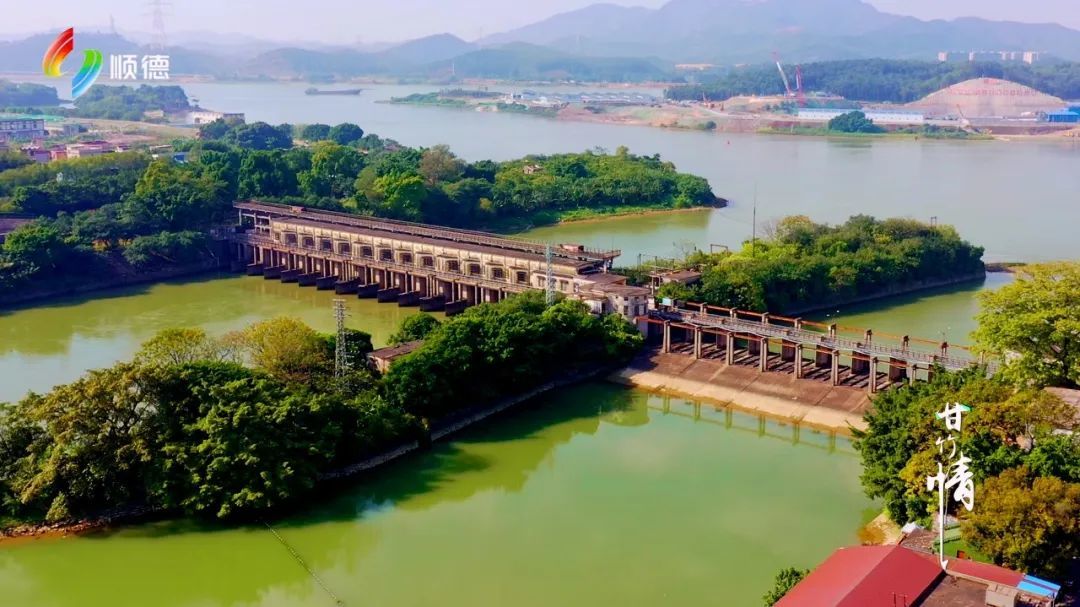 了4k级别专业摄像机,顶级航拍无人机等先进设备进行拍摄,将龙江甘竹滩