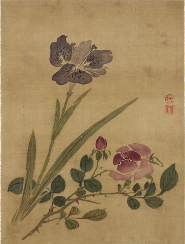 蔷薇鸳尾 本幅选自台北故宫博物院藏蒋廷锡《画花卉》册
