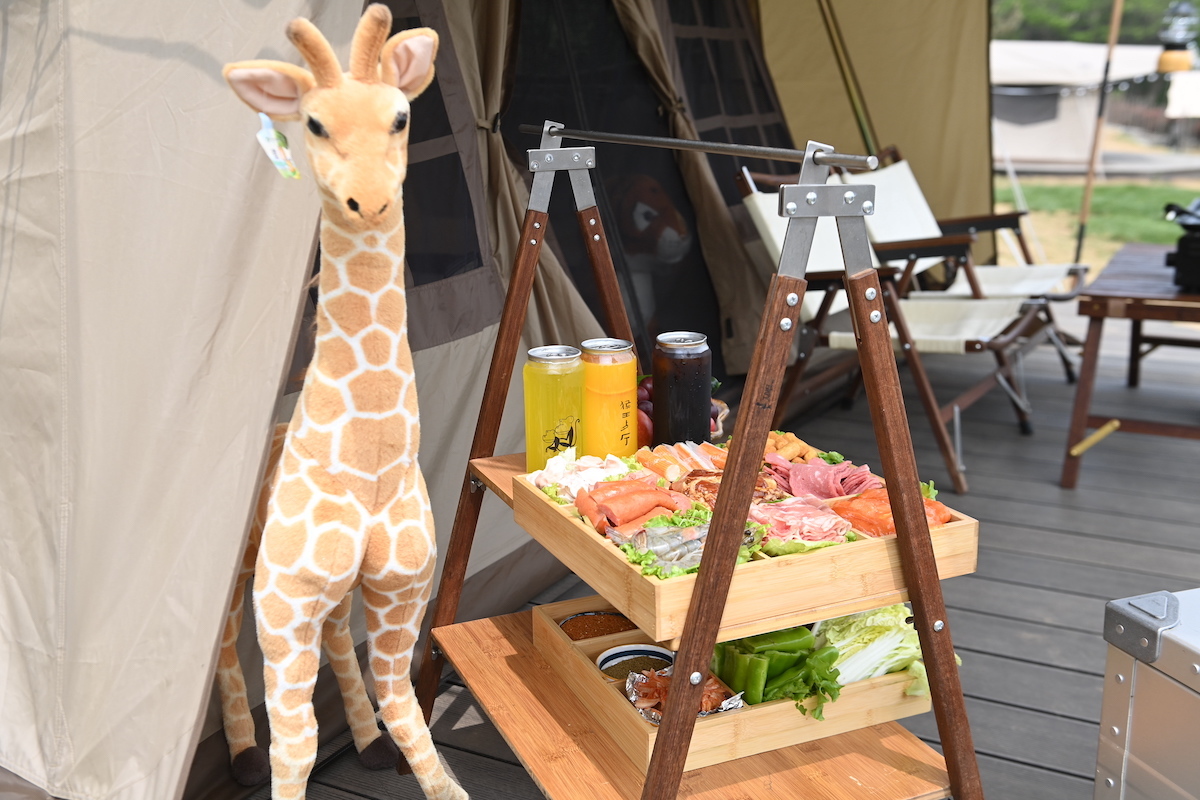 狼来了！青岛森林野生动物世界森林狂欢月开启，五一假期来这里！