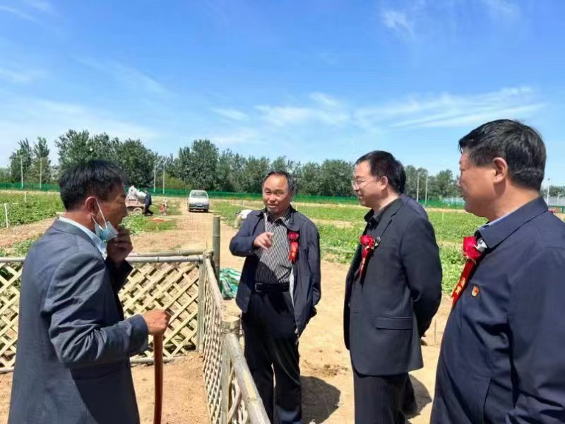 专家们在田间地头进行种植技术答疑解问