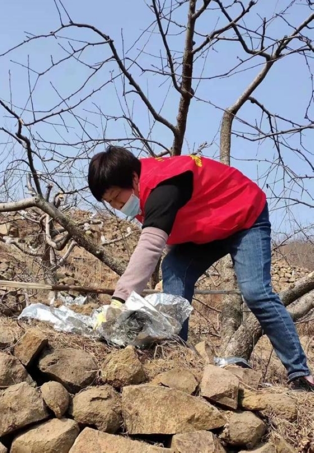 沂源县中庄镇：环境整治绘就乡村“幸福路”