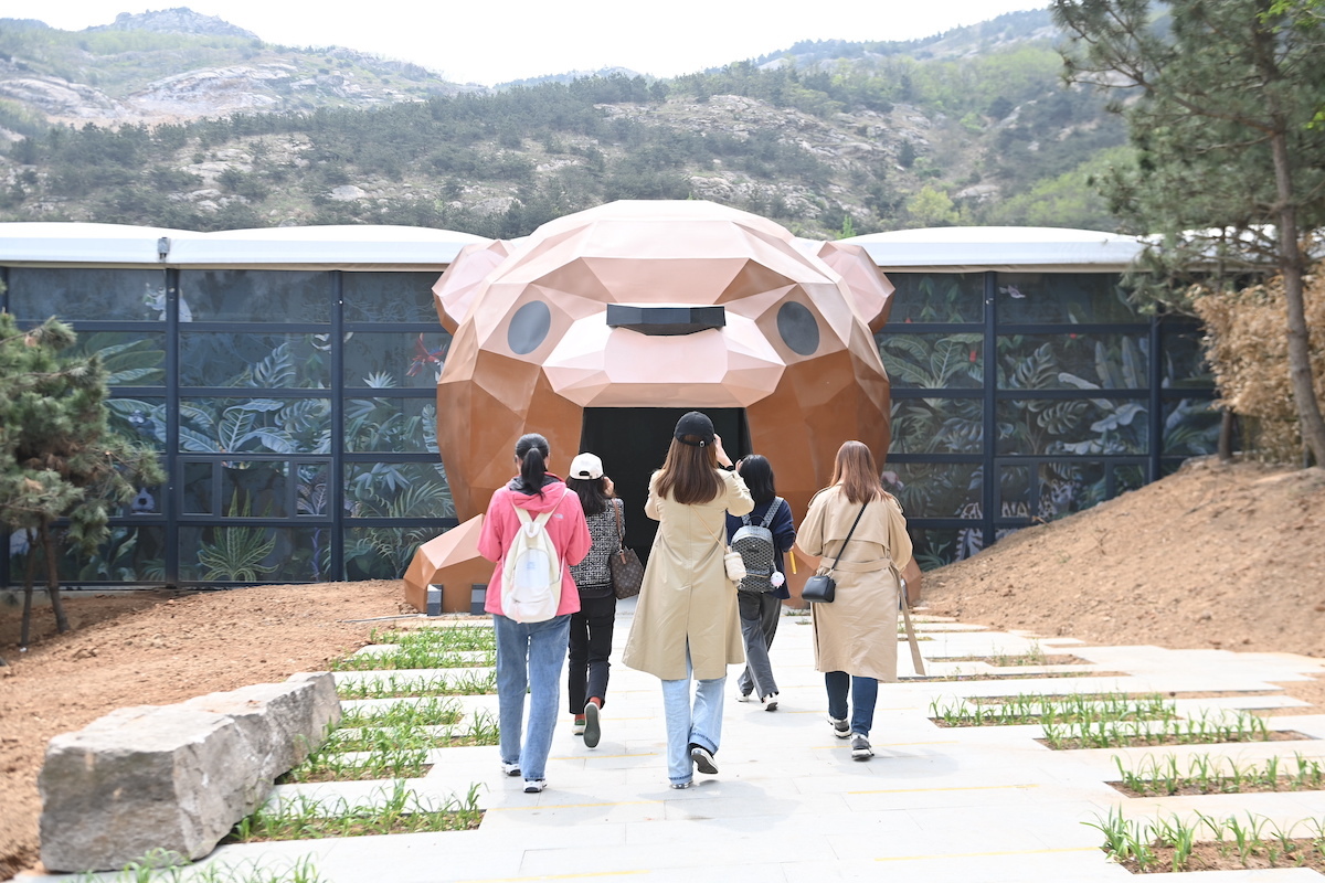狼来了！青岛森林野生动物世界森林狂欢月开启，五一假期来这里！