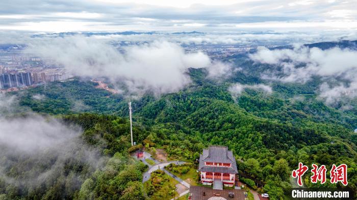 春雨洗礼后的仰天岗国家森林公园云雾缭绕、林木葱郁、翠竹如画，山谷幽幽。　伍荣达 摄