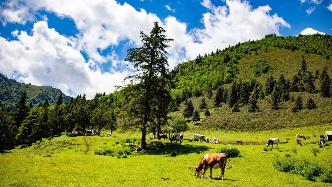 五一high起来遇见武威天祝遇见最美的风景
