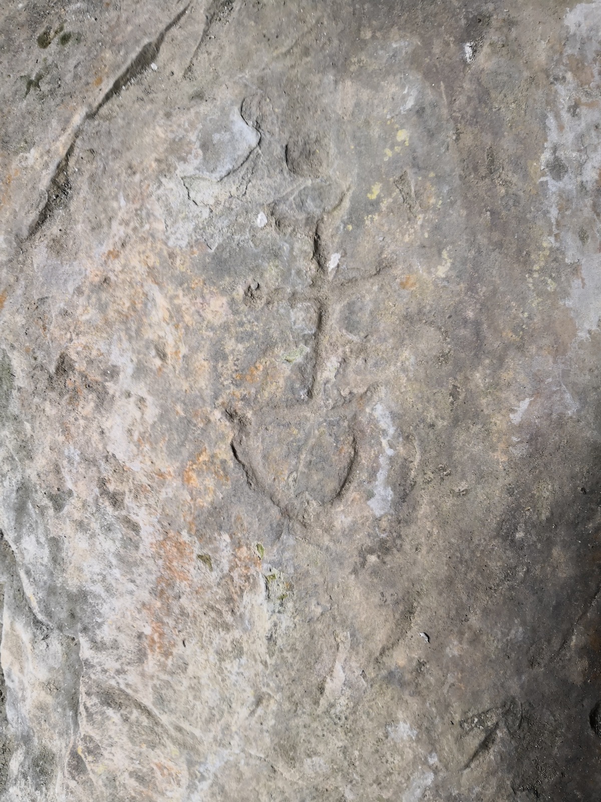 图2：甲骨文“告”