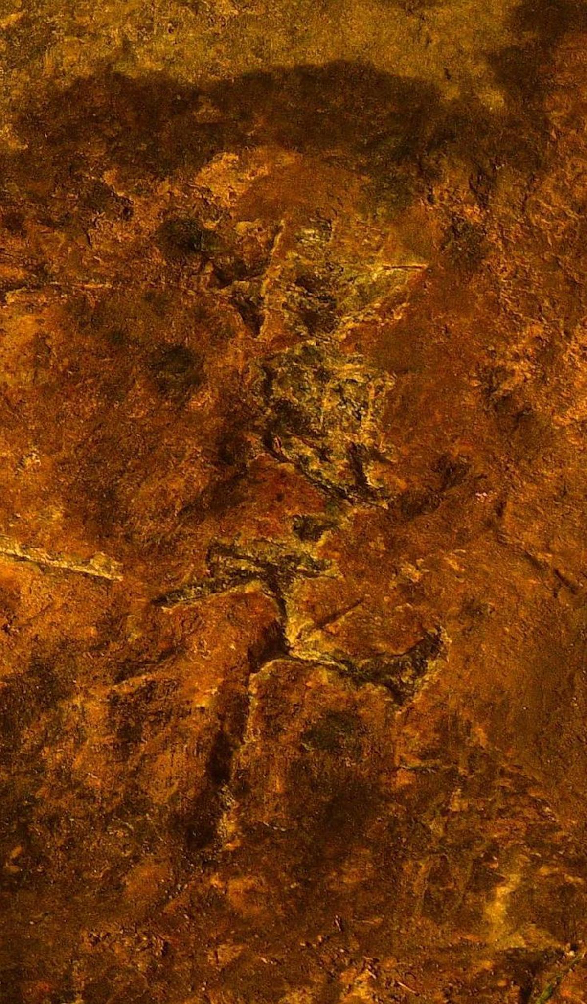 图9：魏体“杨忠元”