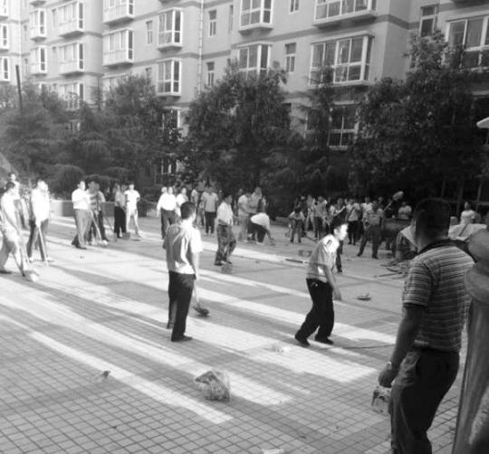 风暴眼|送妻女入狱、跨省打丈人、女儿举报妈,蓝翔一家离谱“宫斗”