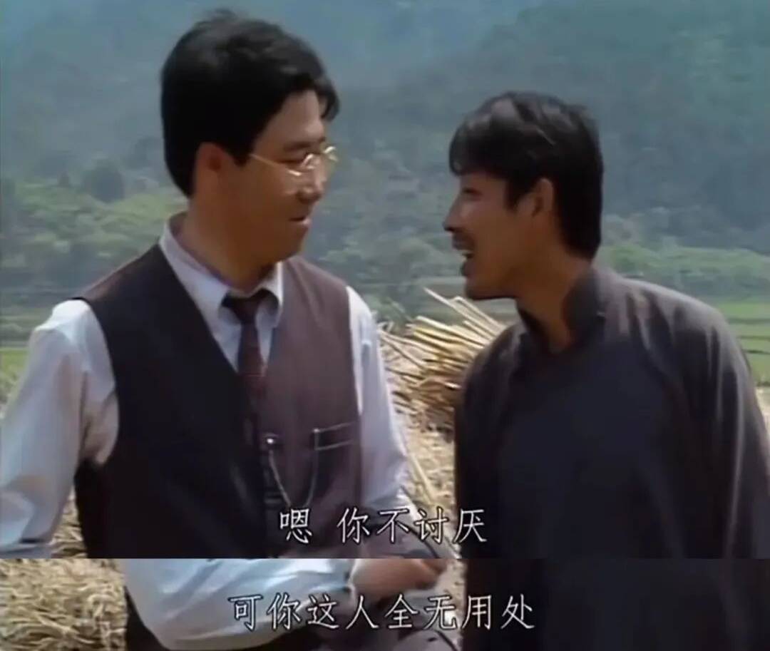 赵辛楣对方鸿渐说:"你不讨厌,可也全无用处.