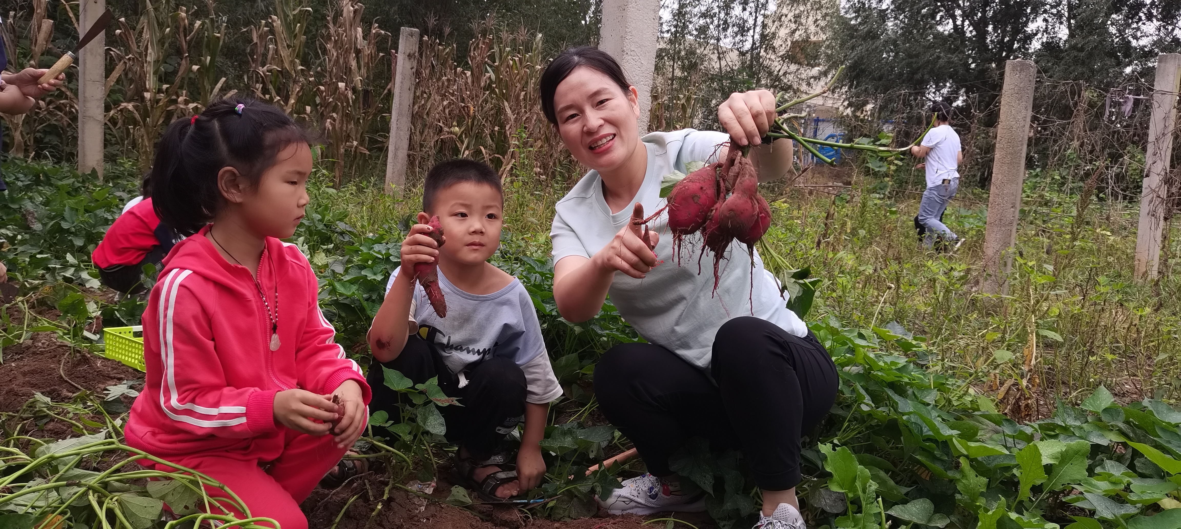 郭文艳带孩子们在农田上课