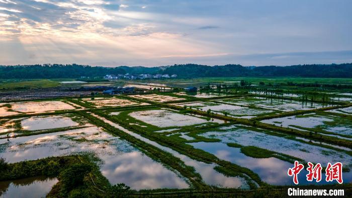 新余田园阡陌纵横 水田如镜(图)凤凰网江西_凤凰网