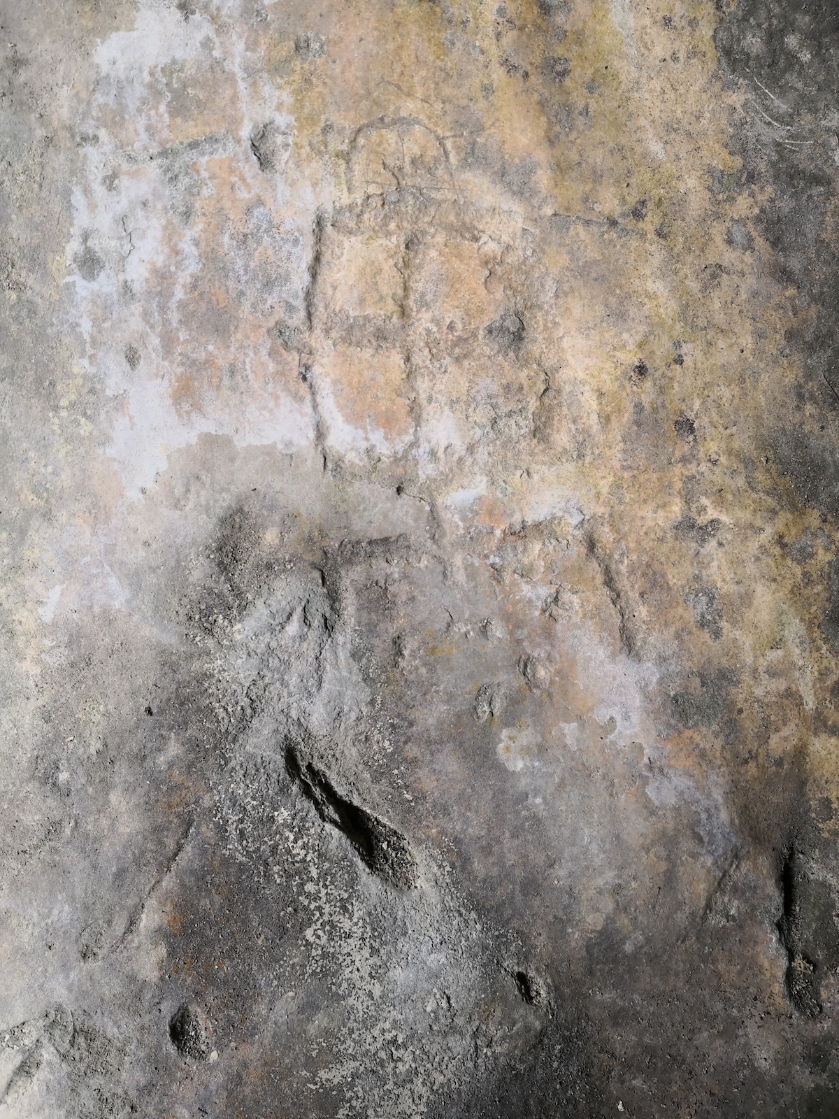 图3：变形表意字“禺”