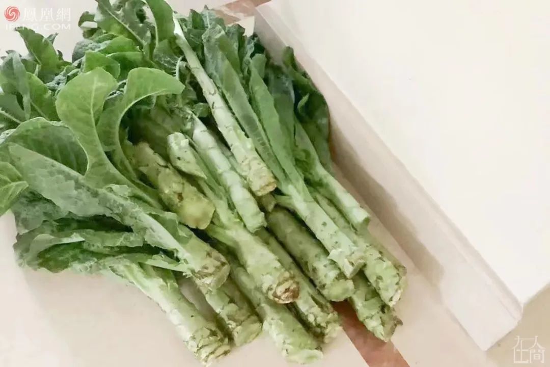 在人间|上海医生张强:骑行40公里给员工发工资,让大家安心