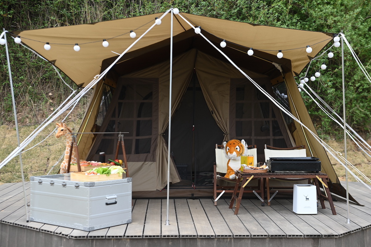 狼来了！青岛森林野生动物世界森林狂欢月开启，五一假期来这里！