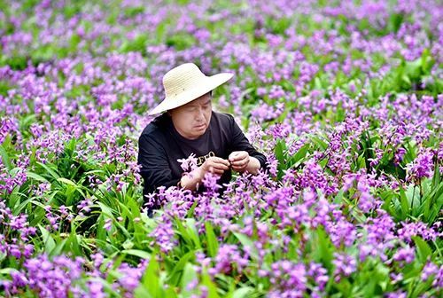 回到生他养他的天门镇,与金塔村