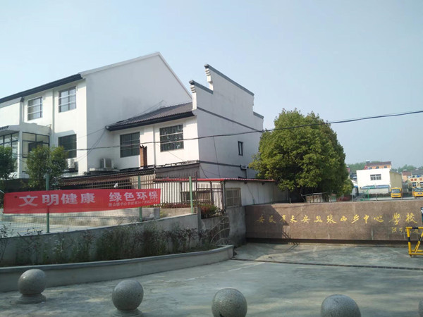 来安县张山镇中心学校党支部少工委开展爱国卫生月教育实践活动