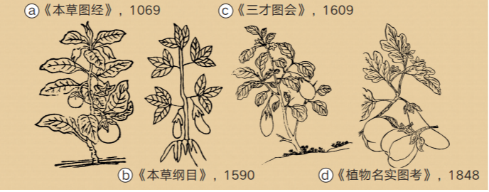 中国古代文献中关于茄子的插图（《艺术与科学：从野生茄子到三宅一生》插图）