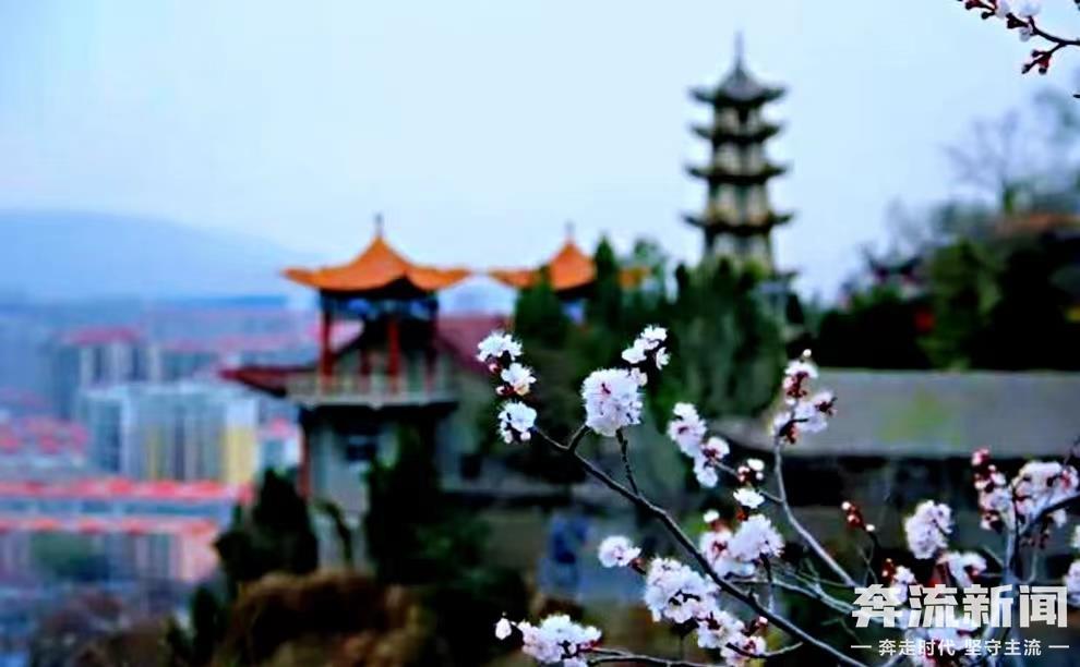 岳麓山下的临洮县城