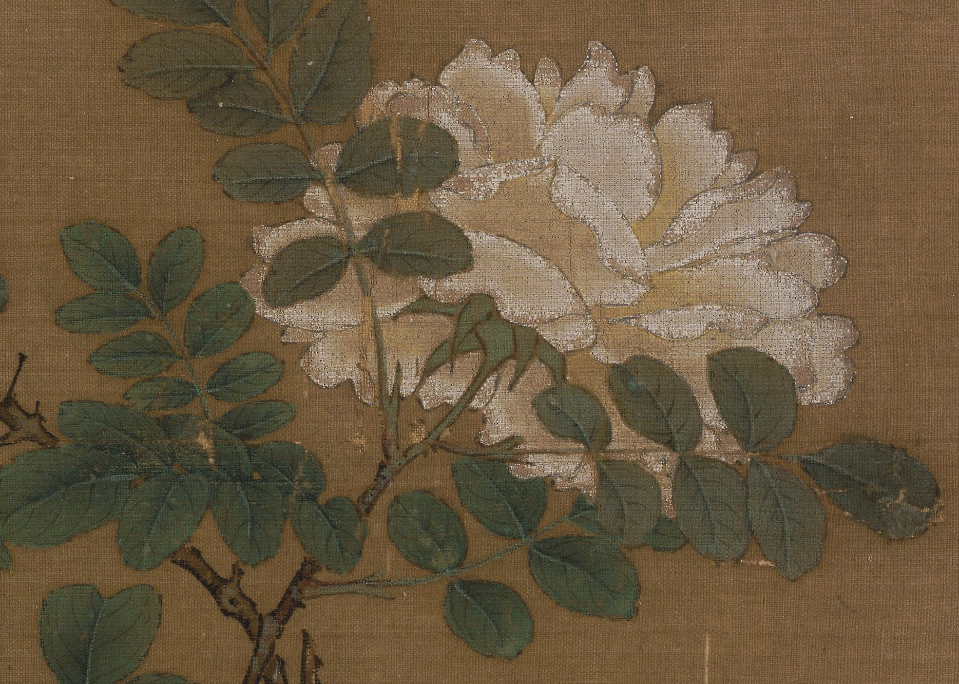 宋 马远 《白蔷薇图》页（局部） 故宫博物院藏