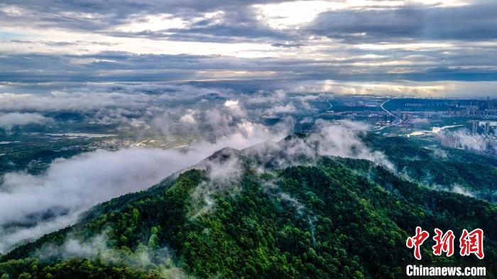 航拍春雨洗礼后的仰天岗国家森林公园云蒸霞蔚，近瞰城市高楼林立、街道纵横，远眺稻田波光、江水如练。　伍荣达 摄