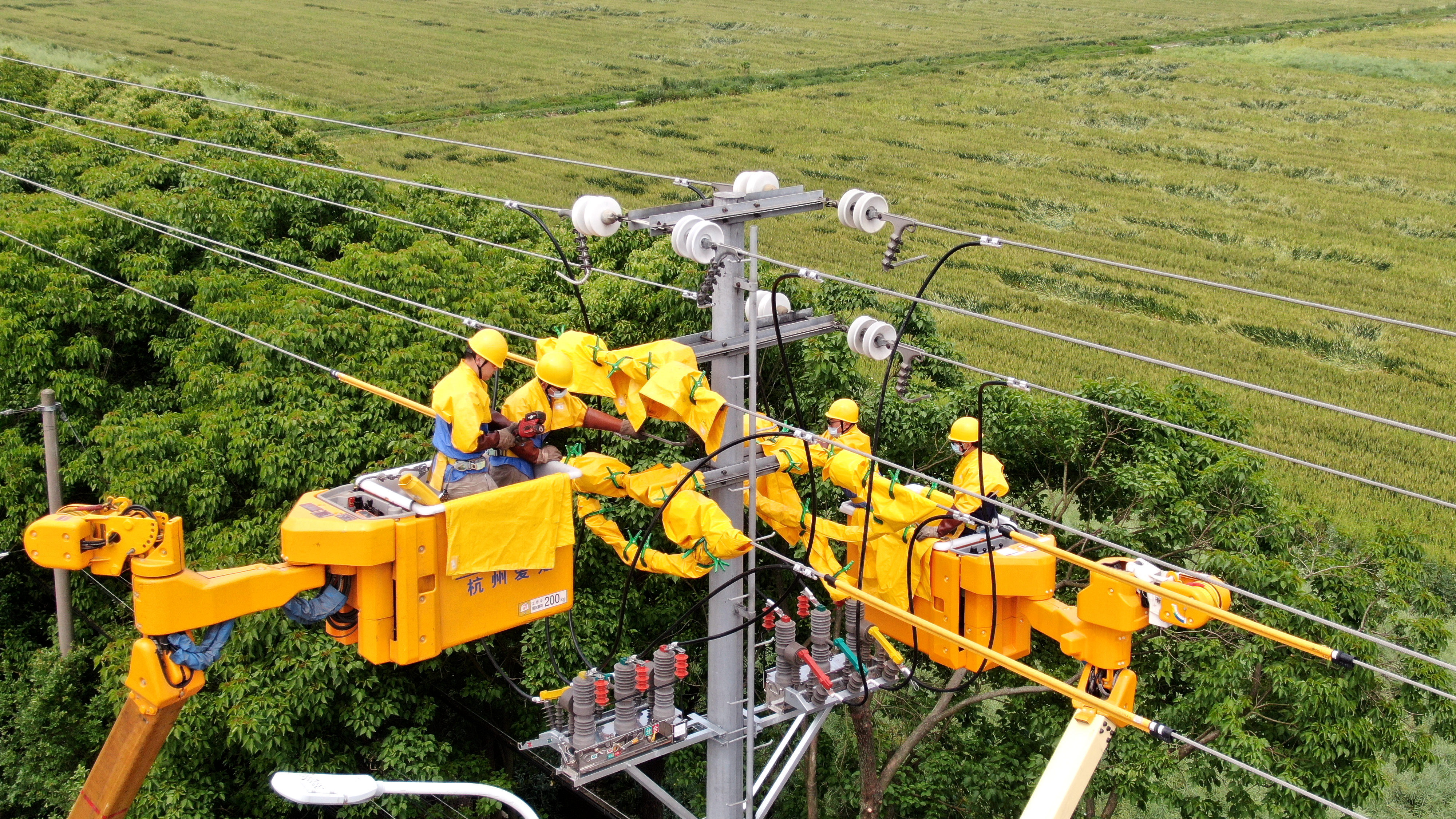 國網餘姚市供電公司帶電安裝智能開關助力鄉村振興建設