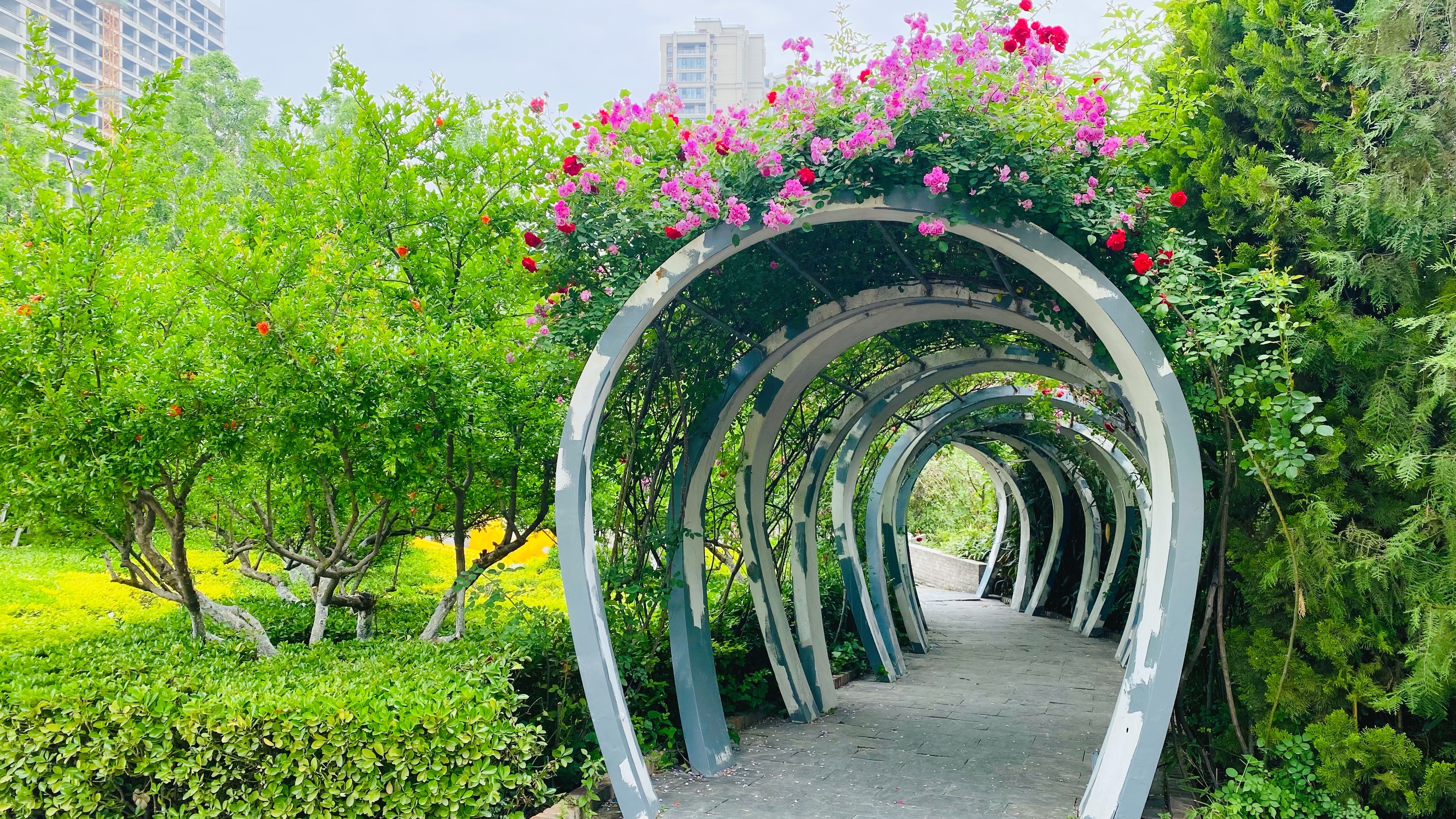 西安世博园邂逅世园花景缤纷假日精彩开启