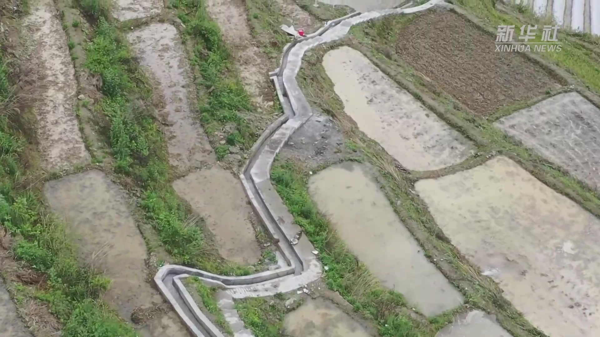 “花田贡米”之乡的旱地“变身”记凤凰网视频凤凰网 