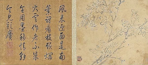 《蔷薇》 本幅选自台北故宫博物院藏陈淳《画花卉》册