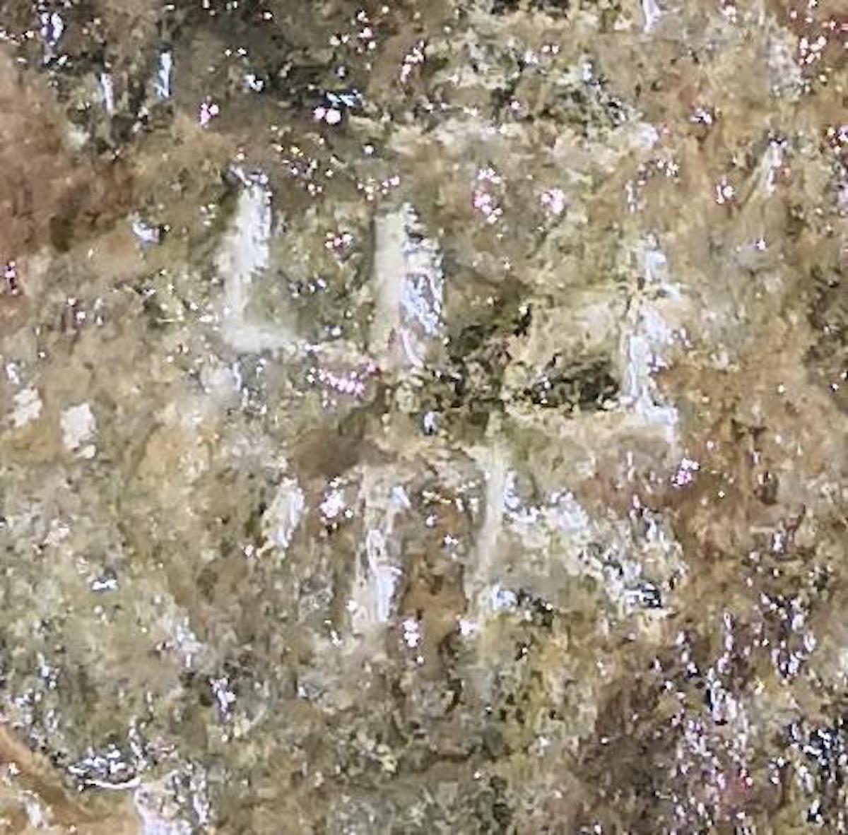 图6：疑似金文“鼏”