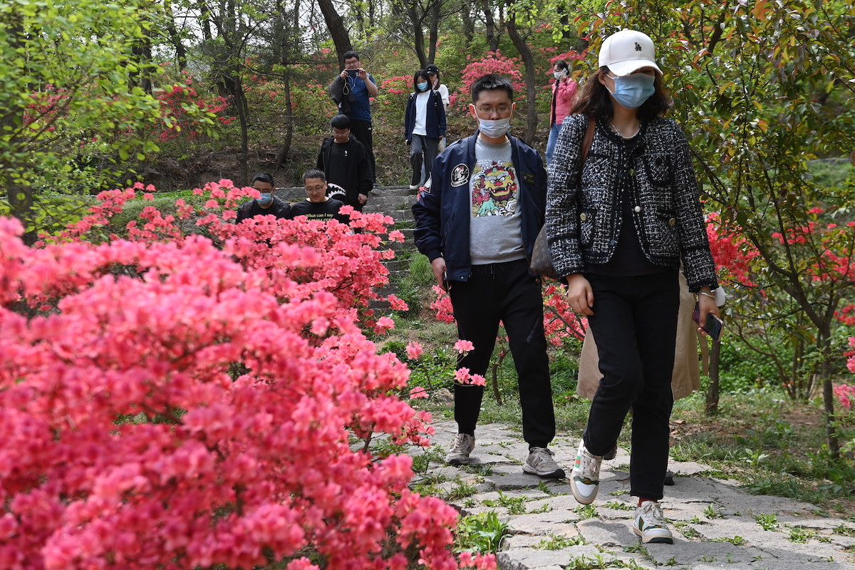狼来了！青岛森林野生动物世界森林狂欢月开启，五一假期来这里！