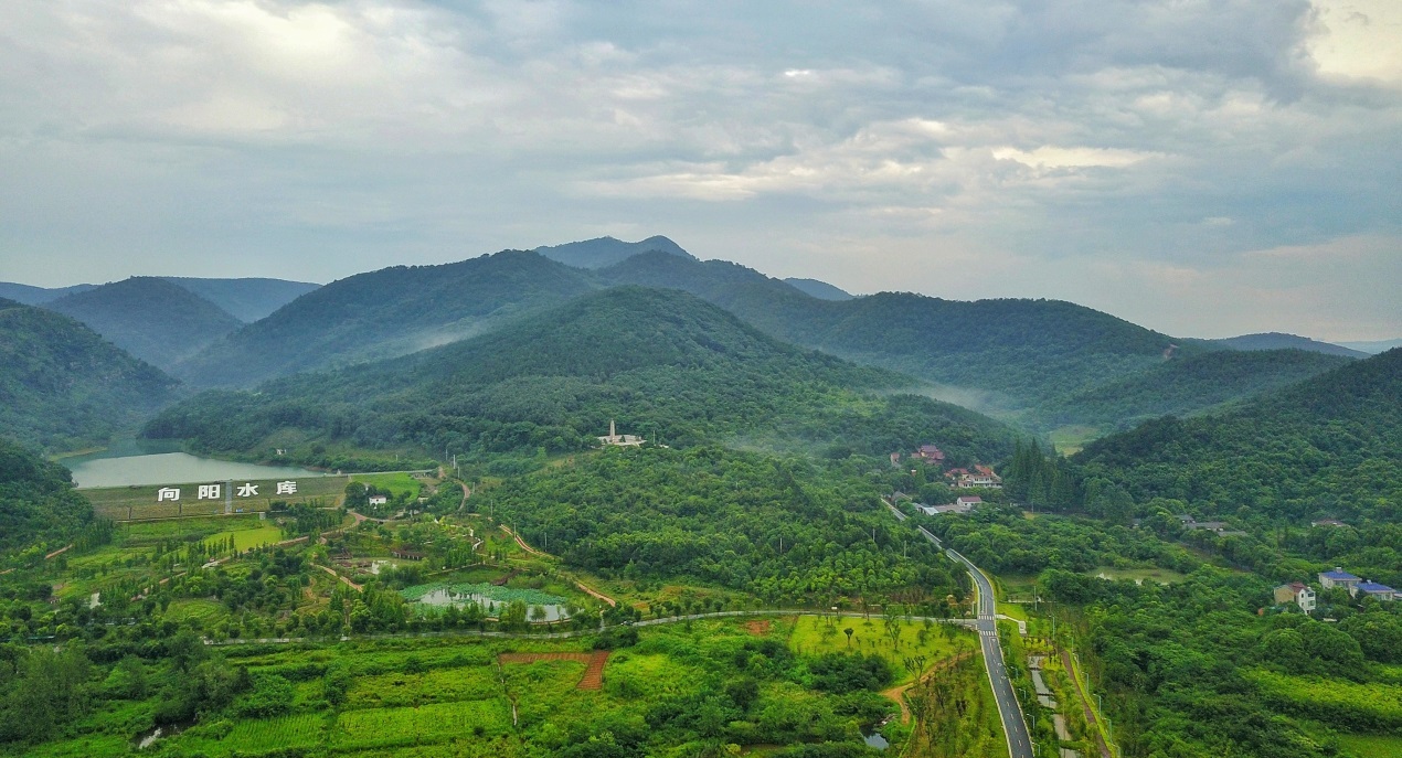 馬鞍山市博望區春路雨添花山間春色明