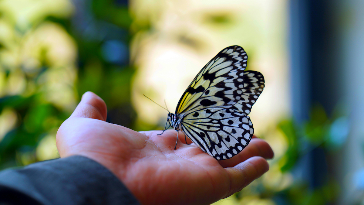 狼来了！青岛森林野生动物世界森林狂欢月开启，五一假期来这里！