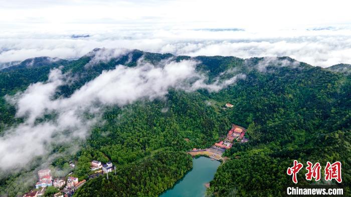 航拍江西新余仰天岗国家森林公园雨后云蒸霞蔚美如画