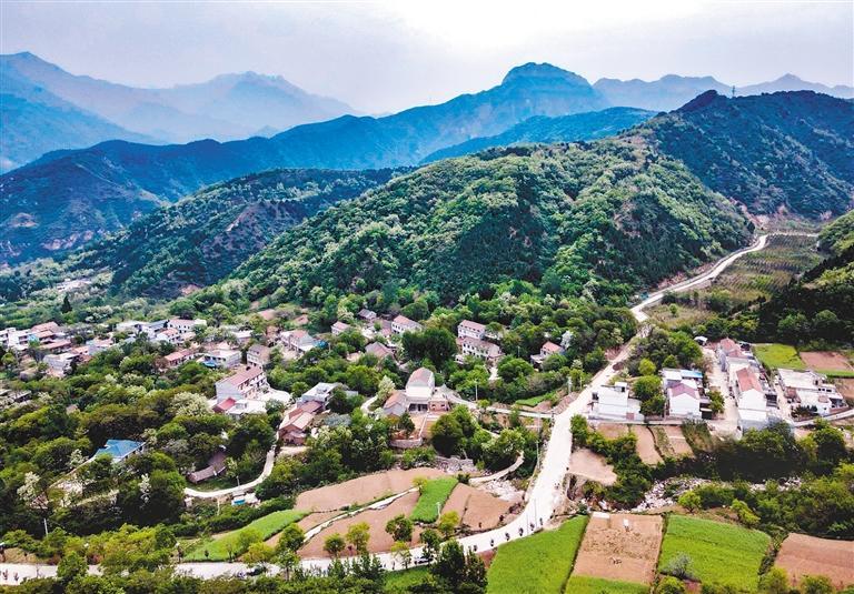 峪口村建起了许多特色民宿