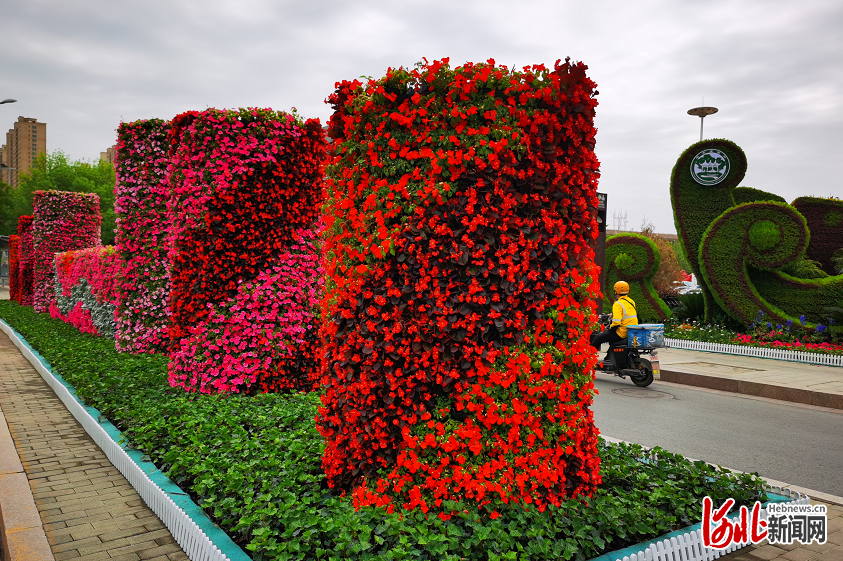 迎五一花箱花球花柱扮靓河北石家庄