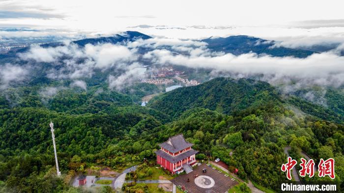 春雨洗礼后的仰天岗国家森林公园云雾缭绕、林木葱郁、翠竹如画，山谷幽幽。　伍荣达 摄