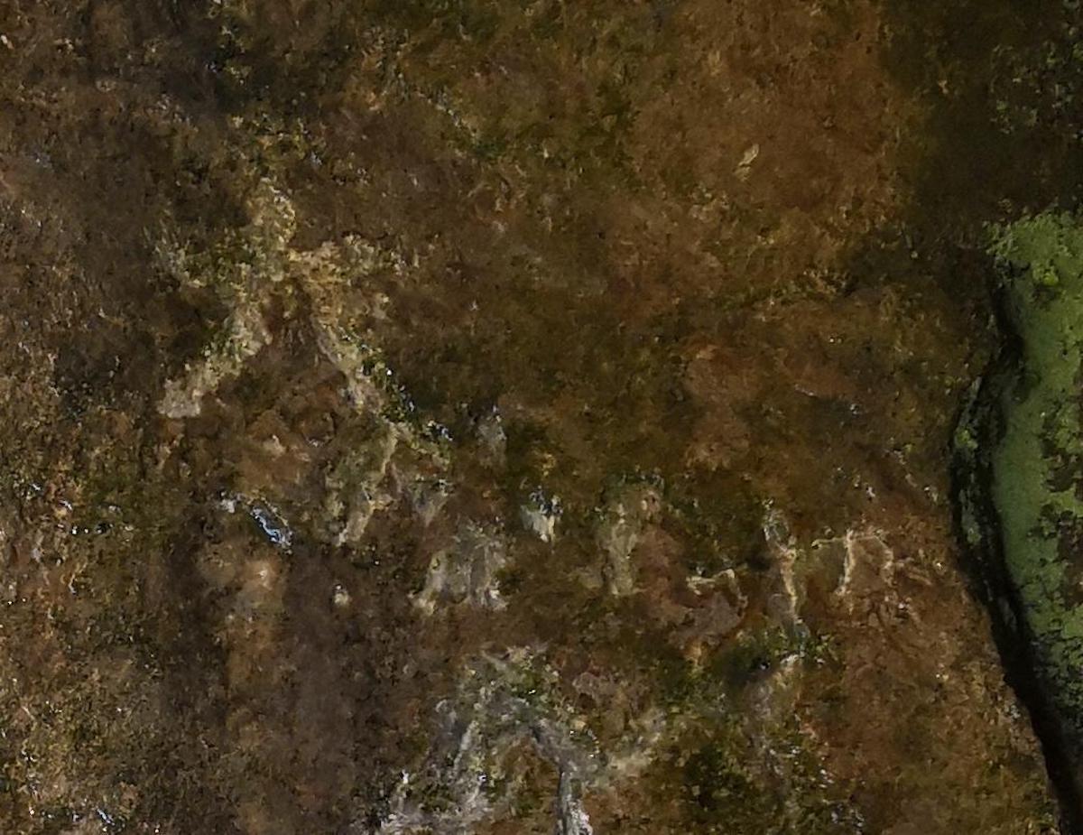 图7：魏体“大地”