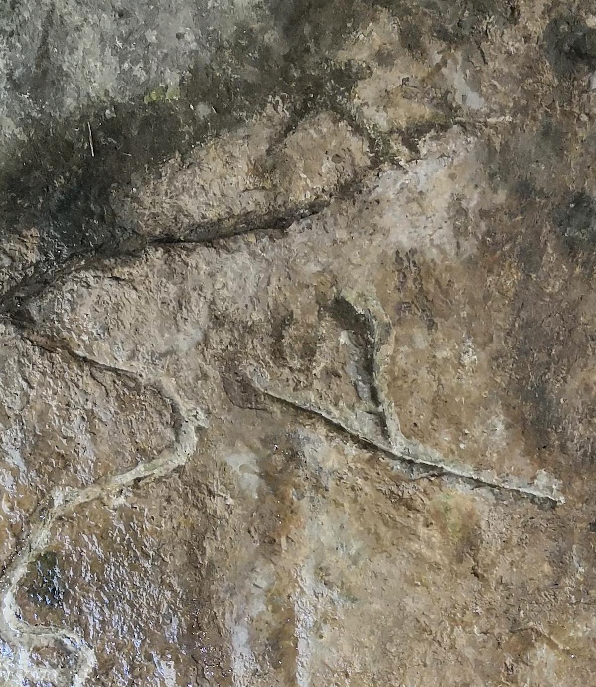 图19:龙形和弓箭图