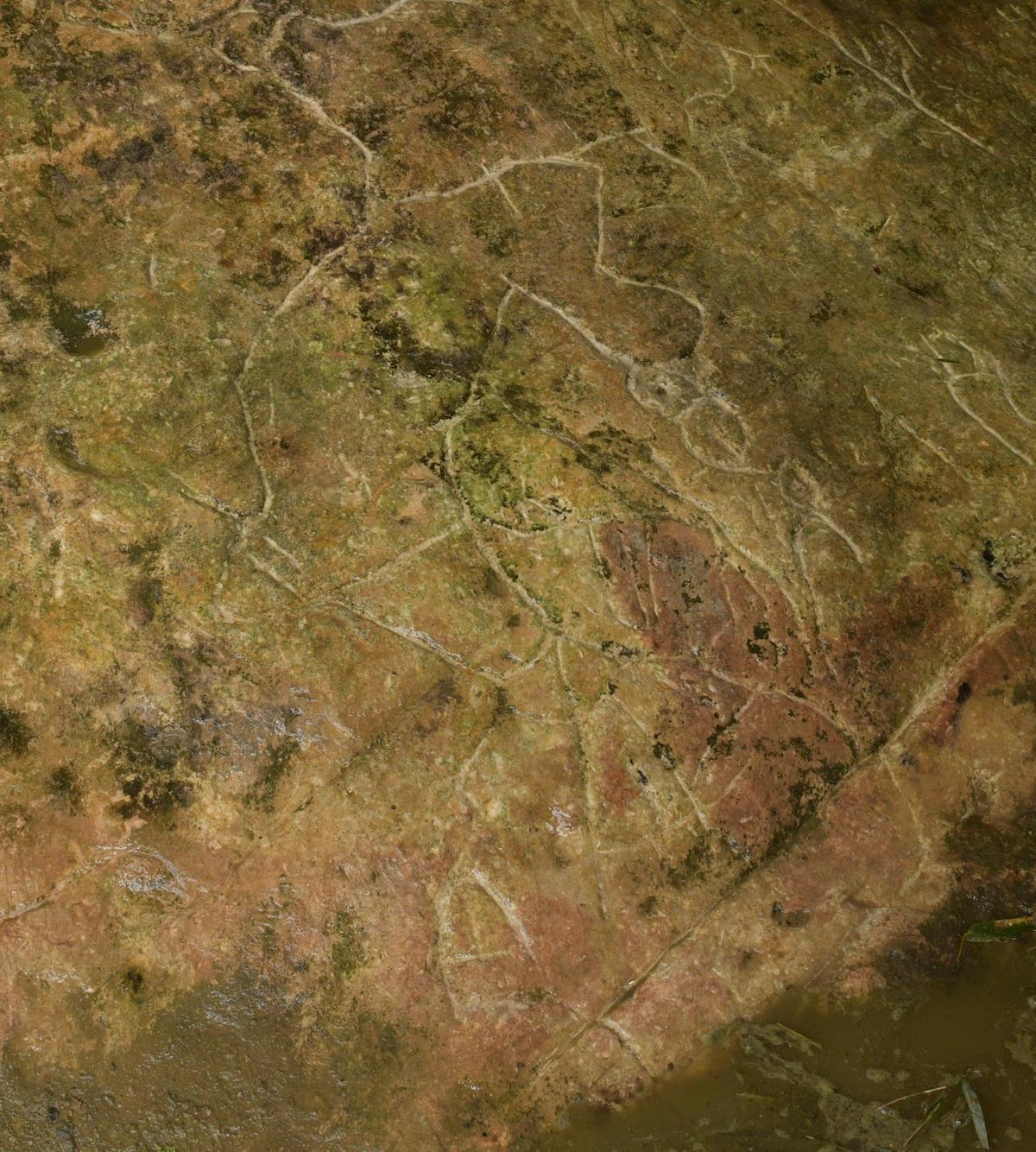 图15：人物坐像画