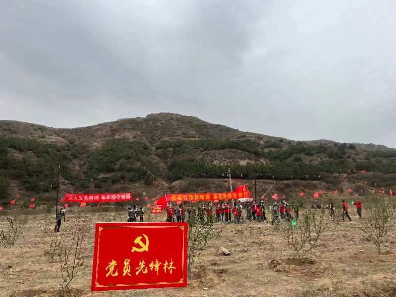娄烦县开展全民义务植树周活动凤凰网山西_凤凰网