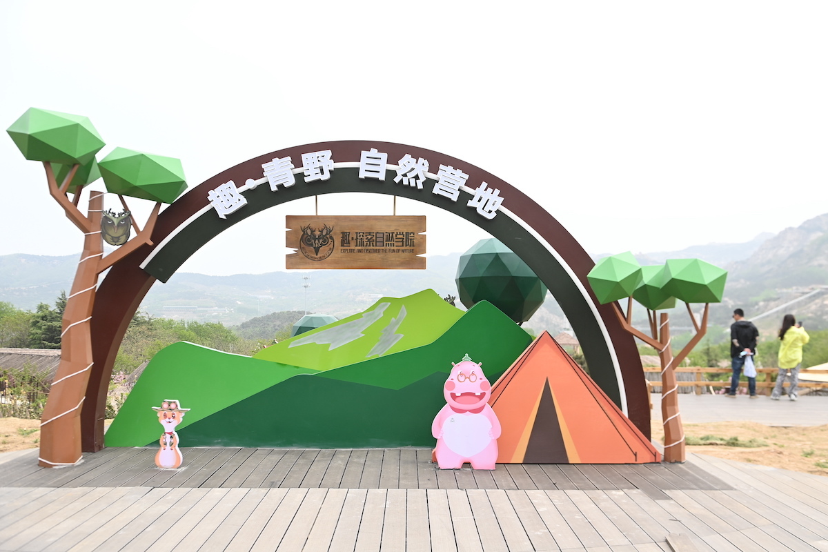 狼来了！青岛森林野生动物世界森林狂欢月开启，五一假期来这里！