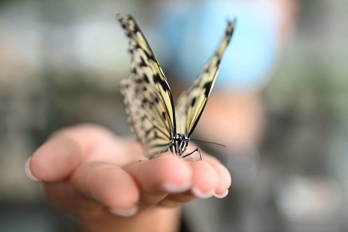 狼来了！青岛森林野生动物世界森林狂欢月开启，五一假期来这里！