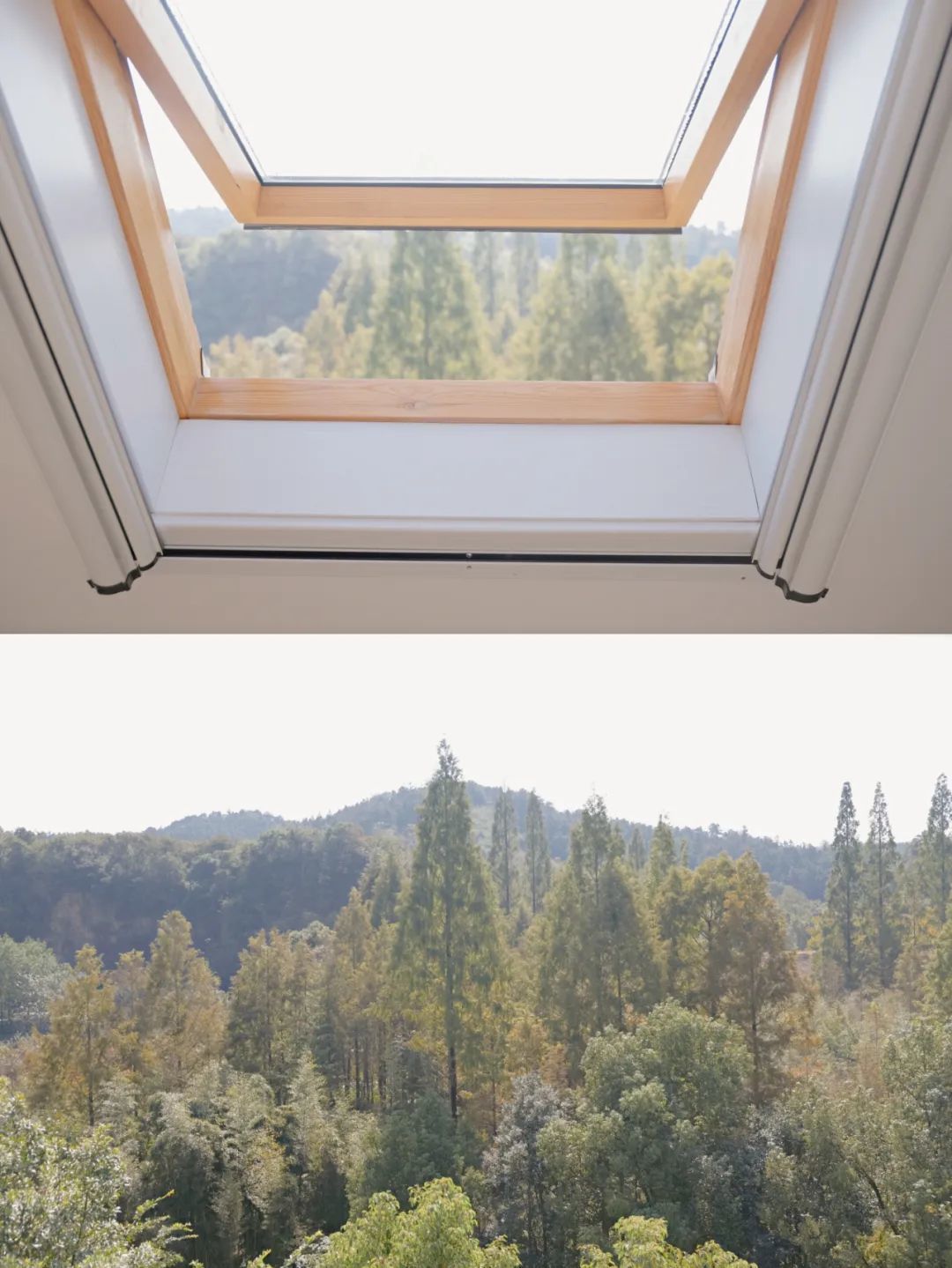 小户型书房神操作,3㎡就够!诗和远方,就在我的书房