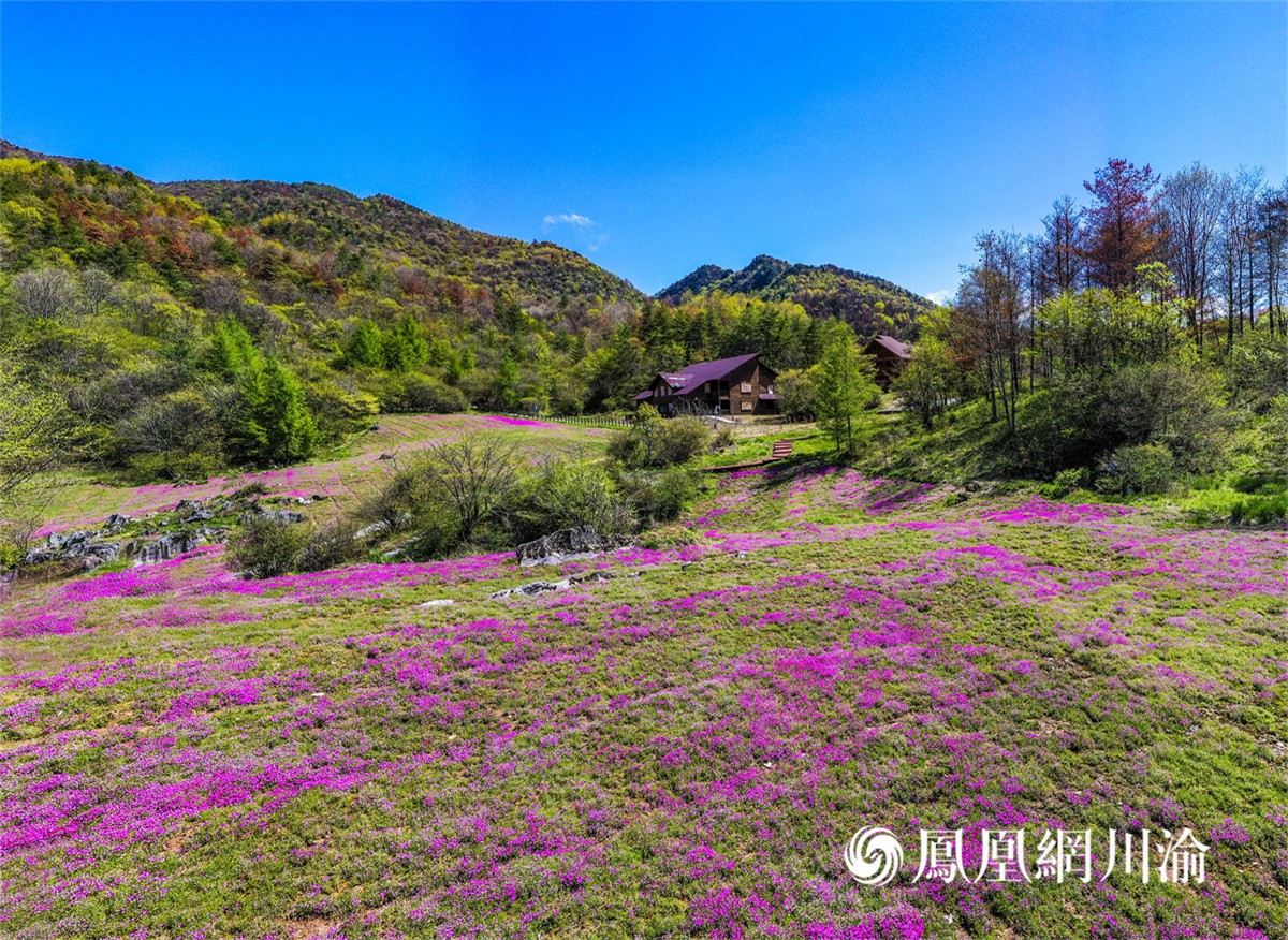 霜降至 带你欣赏巫溪红池坝秋日美景-重庆手机台