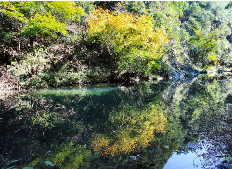 中國美麗休閒鄉村餘姚市大隱鎮芝林村