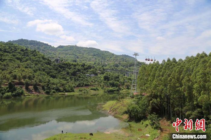 图为索道途经森林和田野。　杨孝永 摄