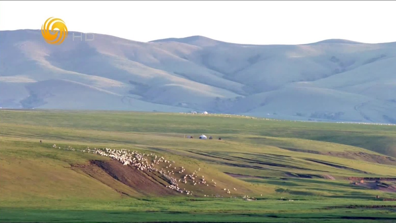 迁徙让牧民、家畜与草原之间形成“生态联盟”，维系着草原的生生不息