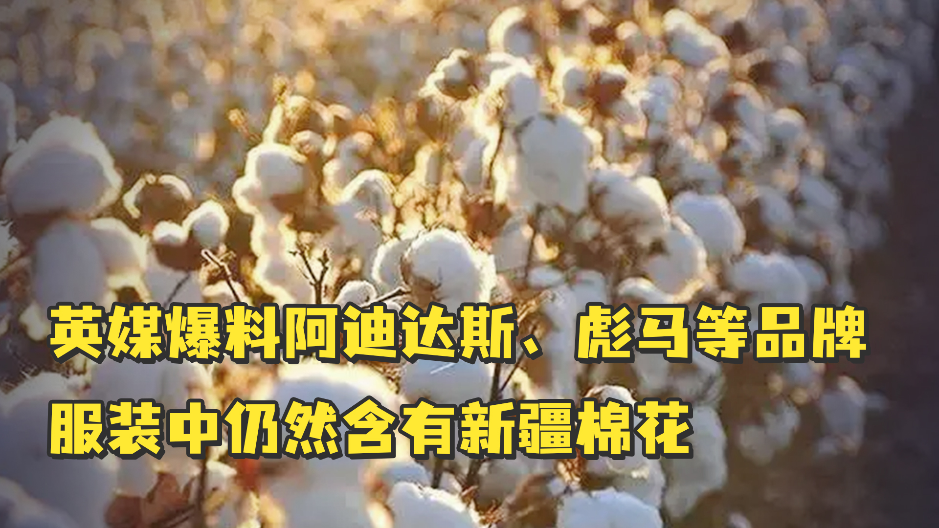 挂羊头卖狗肉英媒爆料阿迪达斯彪马等品牌服装中仍然含有新疆棉花