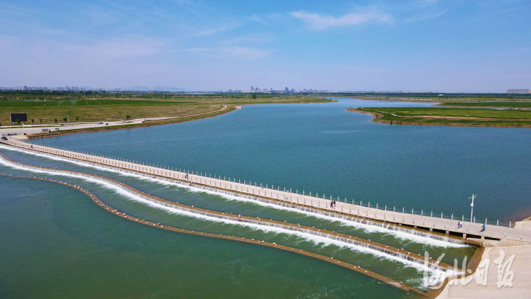 “五一”假期,众多市民来到石家庄市滹沱河生态区赏景休闲,畅享美好时光。河北日报记者赵永辉摄影报道