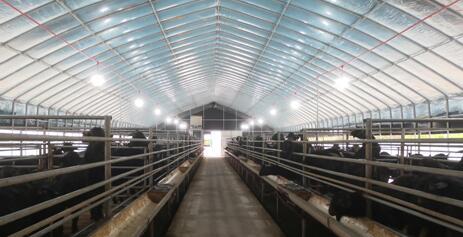 萍乡安源区：“羊”帆起航 跑出乡村振兴加速度