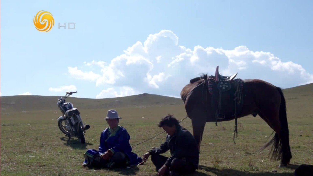 他们是阿鲁科尔沁草原上的“空巢老人”，与他们相伴的只有牛羊